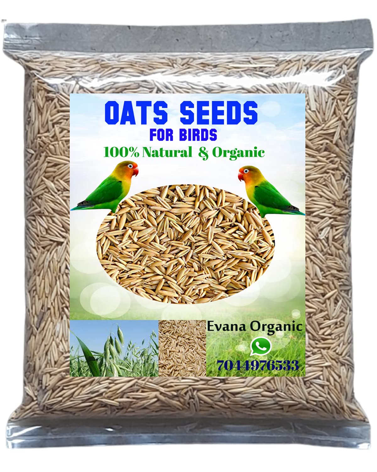 Evana Organic Premium Oats Dry & Clean Seeds for Birds | All Life Stages, Cockatoo, Grey Parrot, Parrots, Macaw, Finches, Budgies, Lovebirds, Cockatiels 400 Grams (B0BZMZSVW3) Amazon Price History, Amazon Price Tracker