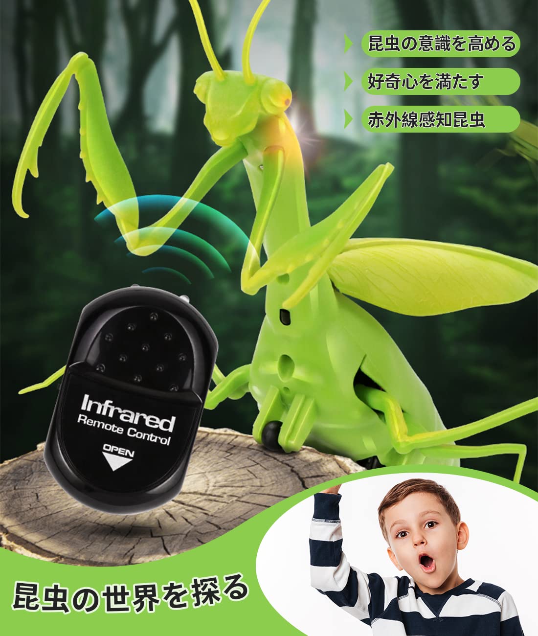 クモ男 ピラザウルス カマキリ男 3体セット売り ポピー 当時物オリジナル保証 Amazon | 億騰 リモコン昆虫 擬似昆虫 てんとう虫/カメ/サソリ