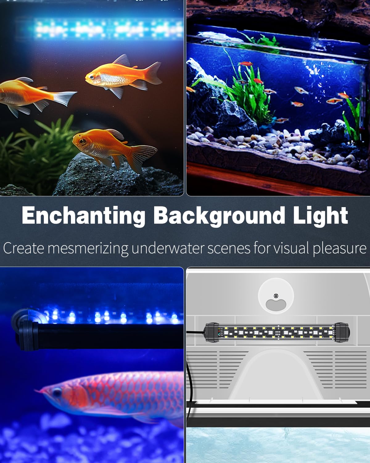 Pawfly 5 W Aquarium LED Light 8 Inch 24/7 Fish Tank Light with Full Spectrum Brilliant White Blue Red Green Lights Multi-Colored LEDs with D/N Mode Single Color Effects Timer and Adjustable Brightness