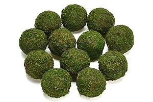 Vumdua Moss Ball: Natural Green Moss Decorative Ball, Handmade (3.5"-Set of 6)