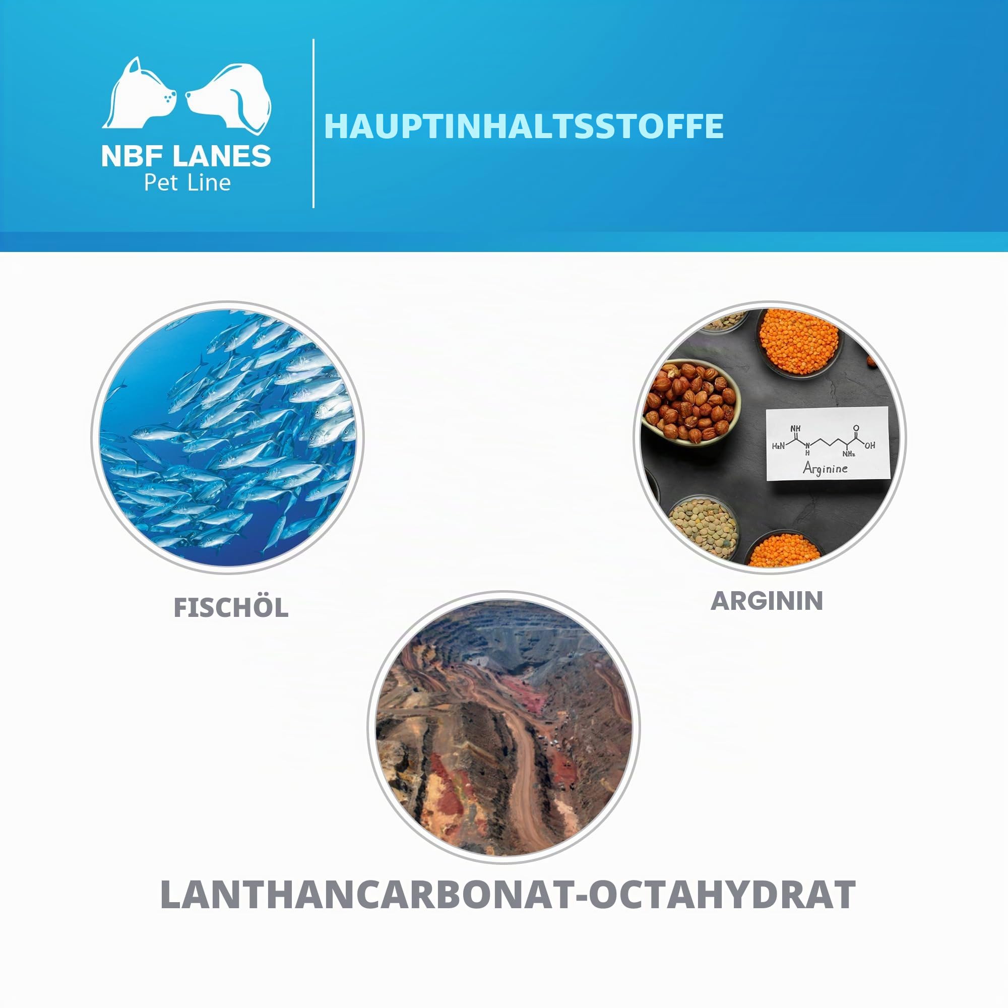 NBF Lanes | Nefrokrill Katze, Ergänzungsfuttermittel für Katzen, 60 Softgel-Perlen, Unterstützung der Nierenfunktion bei chronischer Niereninsuffizienz, für erwachsene und ältere Katzen