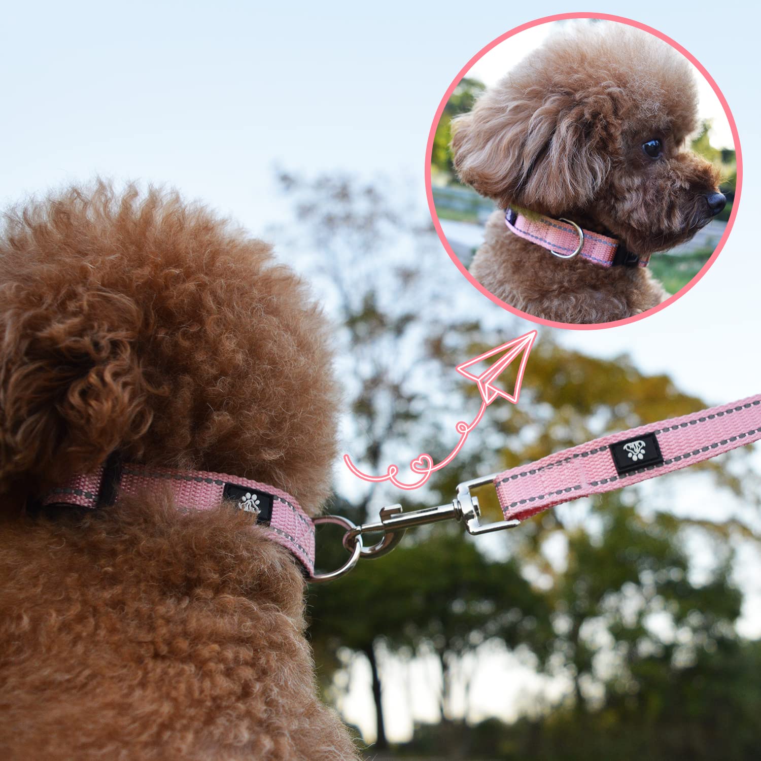 NESTROAD Reflective Dog Collar and Leash Set,Soft Neoprene Pet Collar with Quick Release Buckle,Adjustable Nylon Dog Collars for Small Medium Large Dogs(Medium Collar + 5FT Leash,Pink)