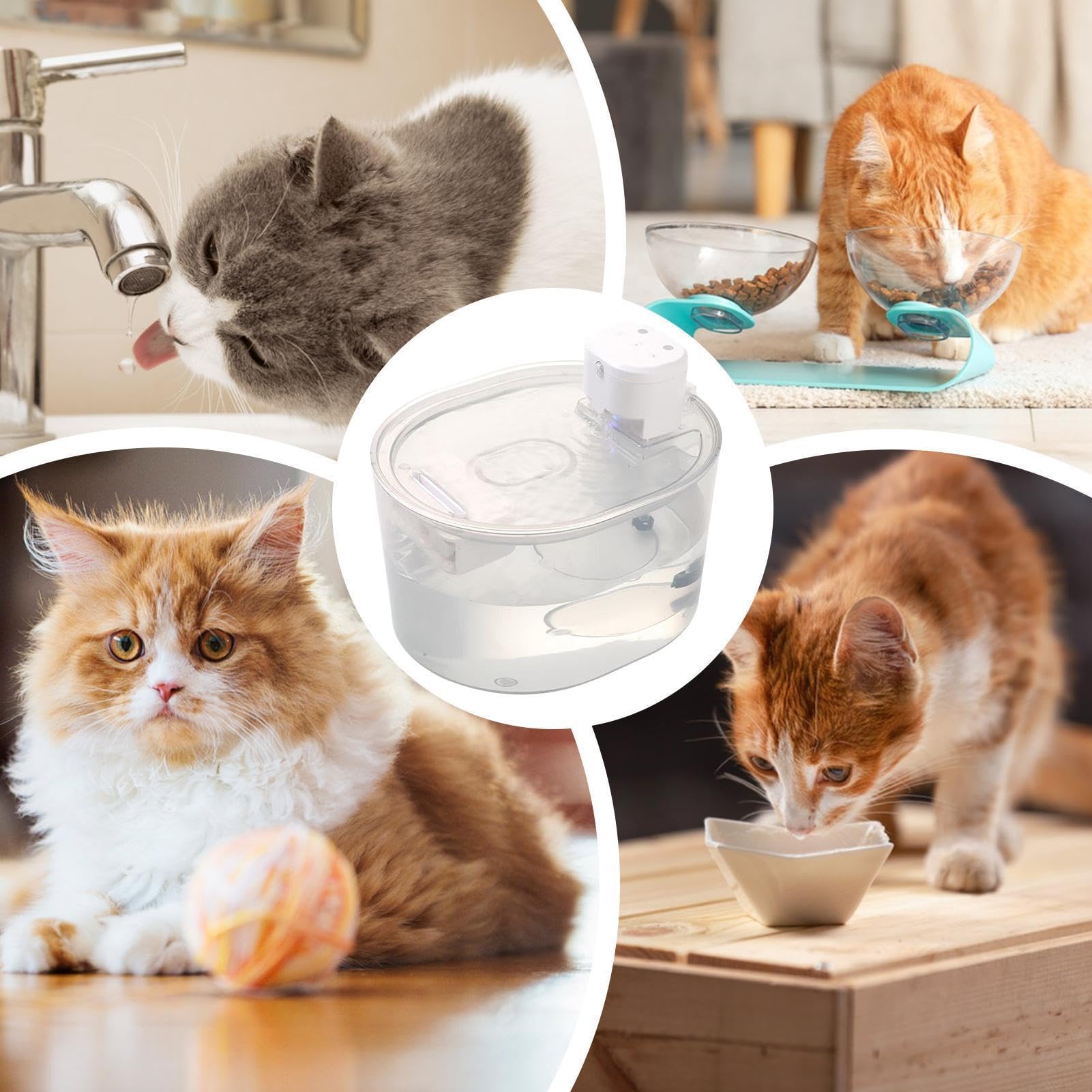 Fuente De Agua Para Mascotas Bebedero Automático Recargable de Agua de 3L | Fuente De Agua Para Gatos Beber Sobremesa Escritorio Cachorro Gatito Perro Animal Mascota En Interiores