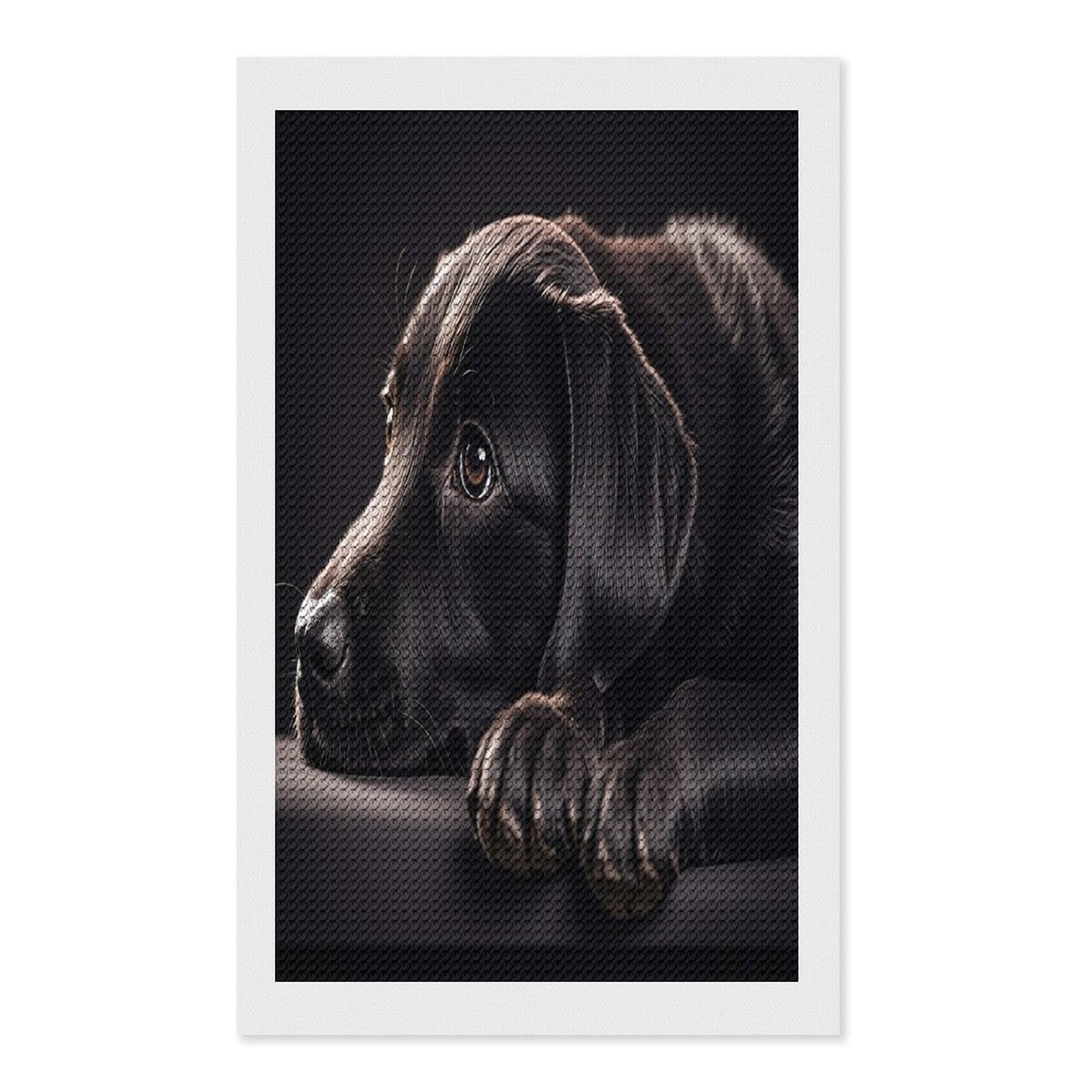 FekiLoot Black Labrador Puppy Diamond Painting Kits for Beginners DIY Diamond Art Kits for Adults Full Drill Round Diamond Dot Gem Art Painting Fun DIY Crafts for Home Kitchen Wall Decor Gift 12"x20"