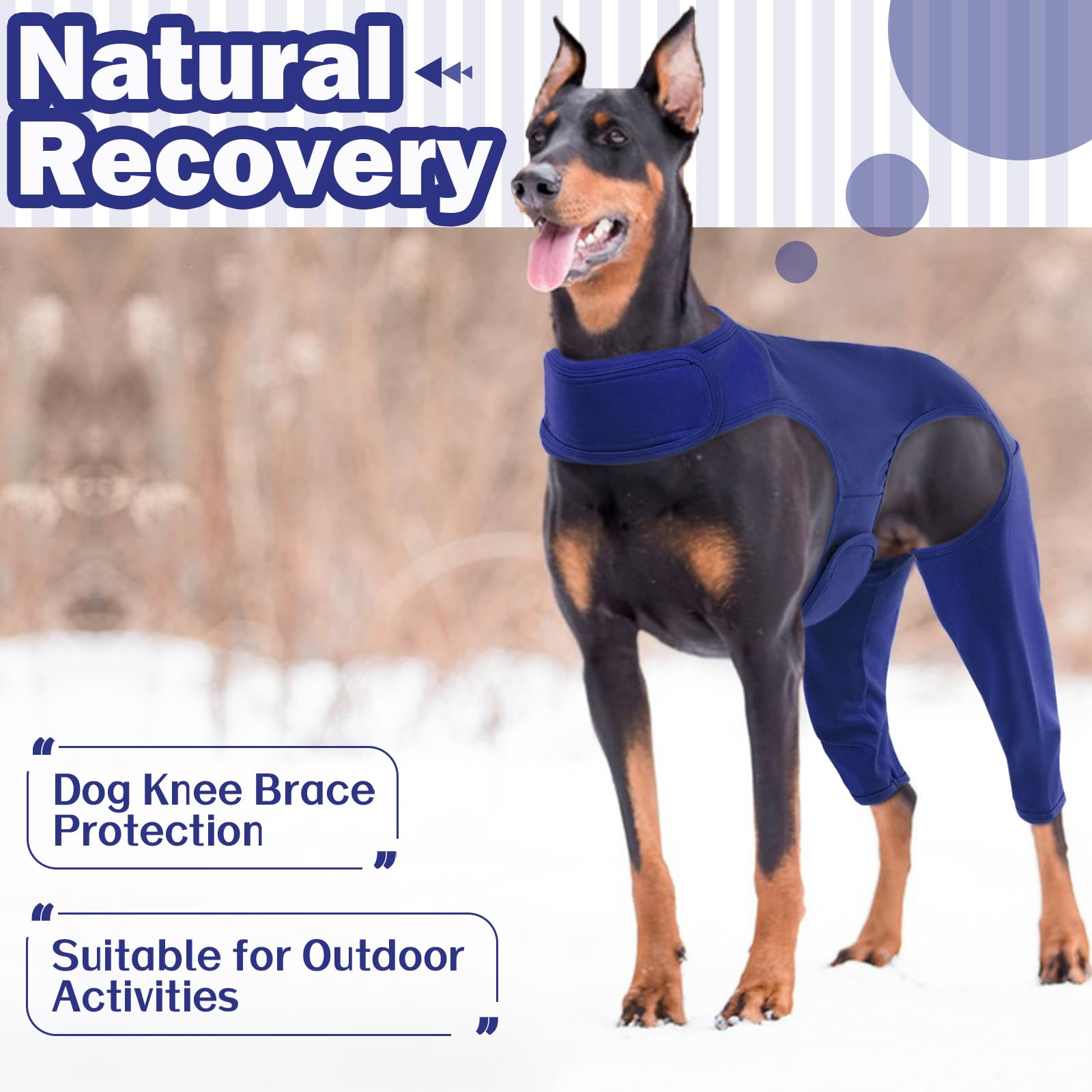 Traje de Recuperación para Perro, Recovery Sleeve, Traje Quirúrgico, Body Postoperatorio, Alternativa Al Collar Isabelino, Protector De Codo
