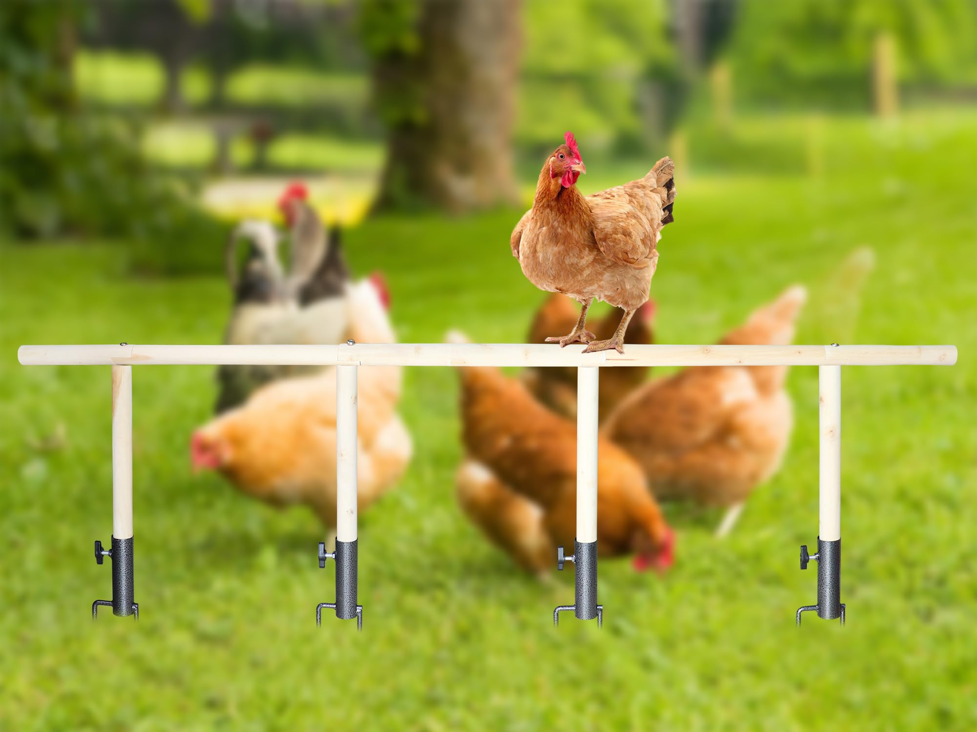 Large Chicken Perch Toy for Coop, Wooden Chick Perch Stand with Metal Ground Plug, Chicken Coop Backyard Poultry Accessories, Suitable for Poultry Rooster Chicks Large Bird Parrot