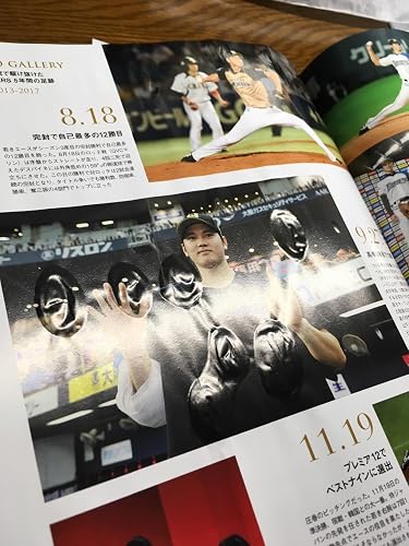大谷翔平 二刀流で駆け抜けた奇跡の5年間〈特別付録:特製クリア