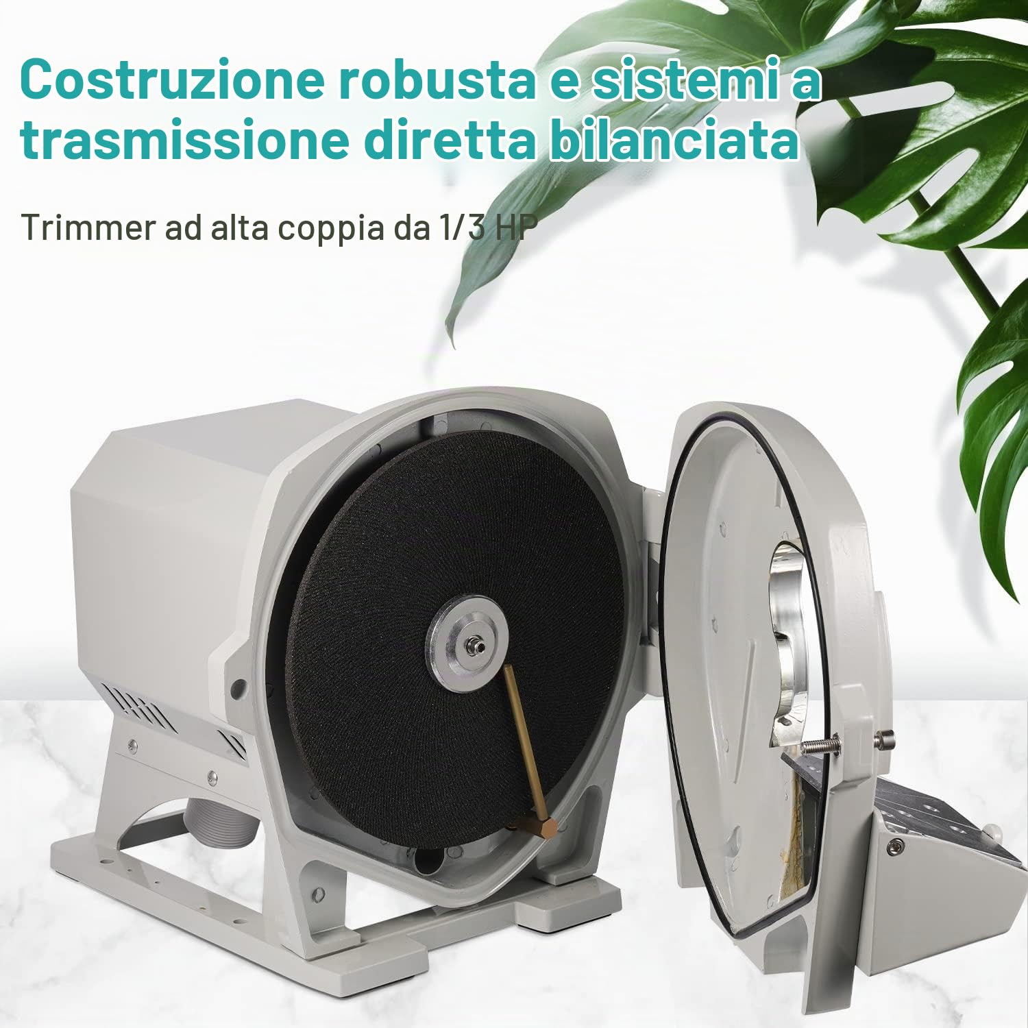 Squadramodelli Dentale ad Umido, Squadramodelli Jt-19 con Attrezzatura da Laboratorio con Ruota a Disco Diamantata Abrasiva, Attrezzatura da Laboratorio Odontoiatrico