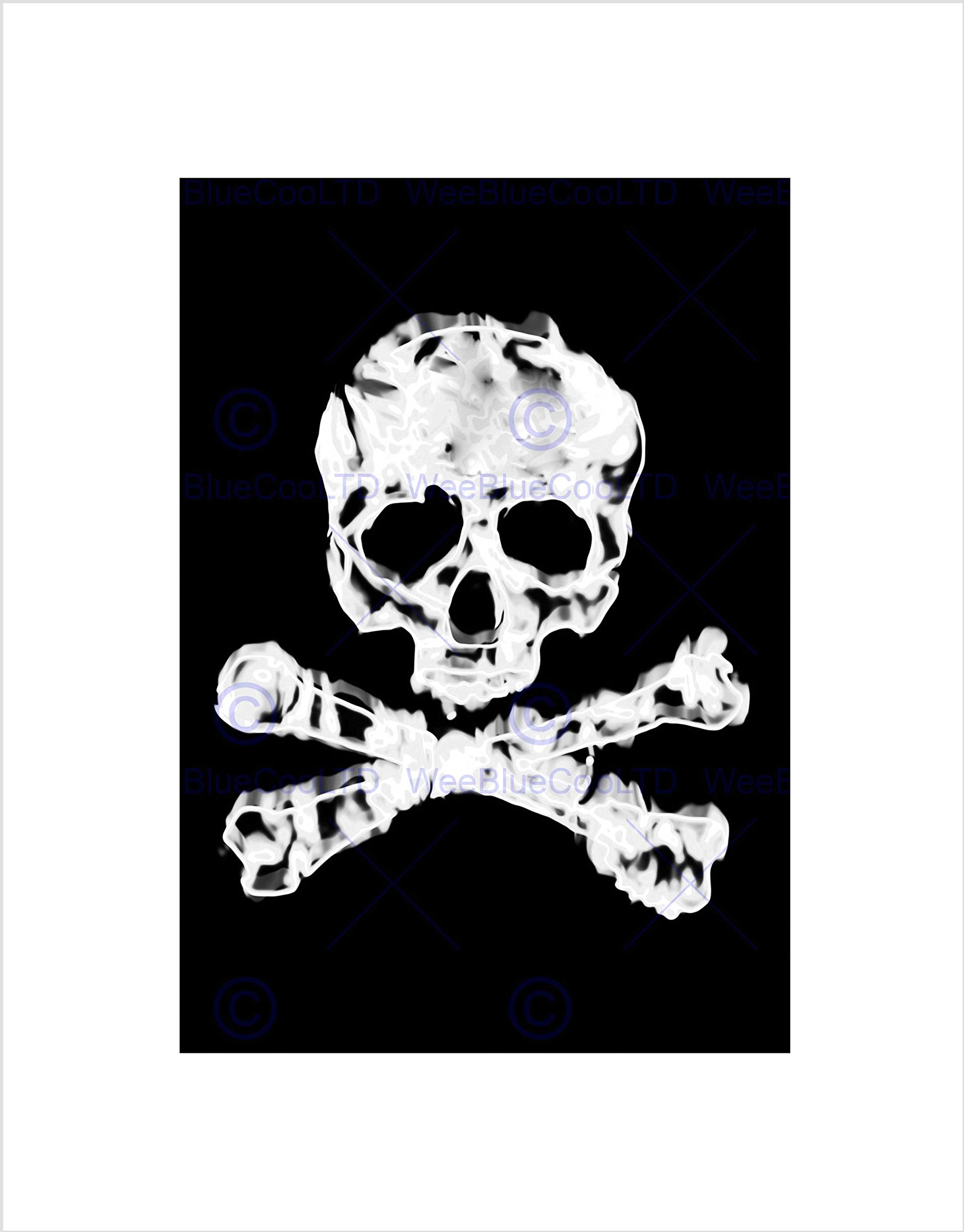 Wee Blue Coo Jolly Roger Flag Plague Ship Pirate Skull Crossbones Wall Art Print