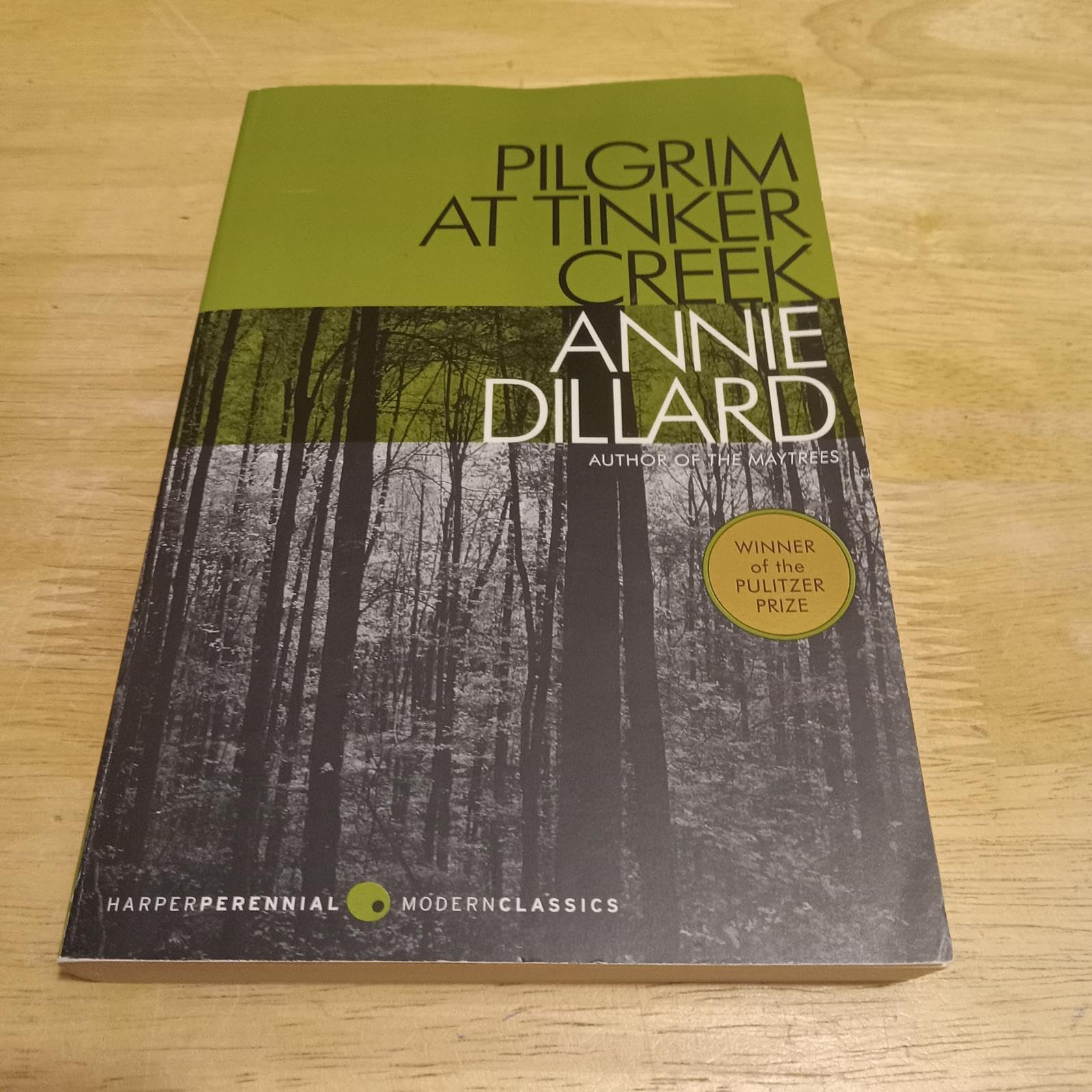 Pilgrim at Tinker Creek