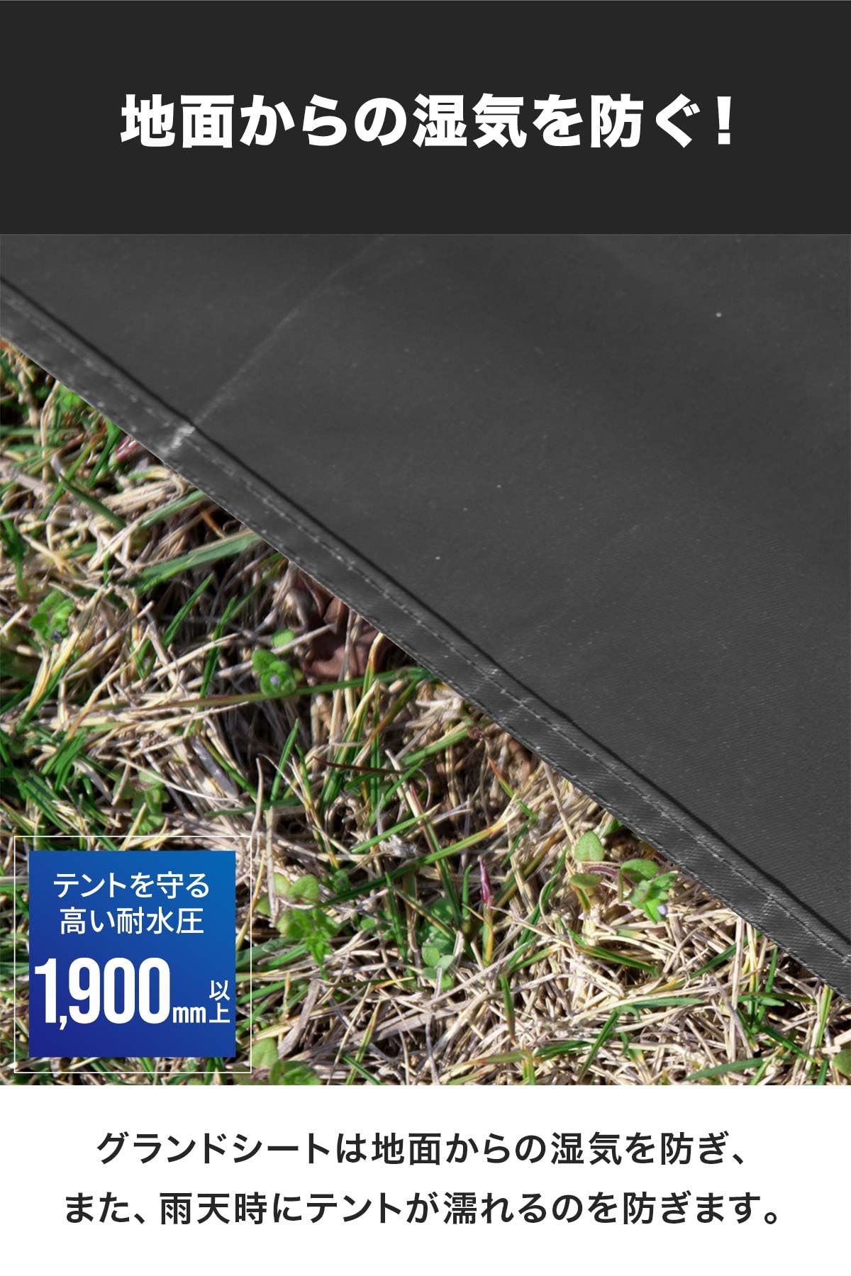 Amazon.co.jp: FIELDOOR グランドシート トンネルテント620専用 【230
