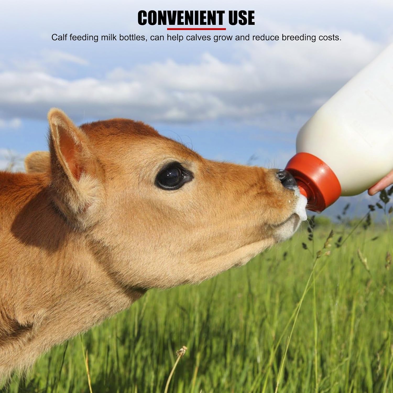 EVTSCAN 4 Litre Large Capacity Newborn Calf Milk Bottle Feeder with Handle and Nipple, Calf Lamb Drencher Bottle for Dairy Farms Calving and Rearing