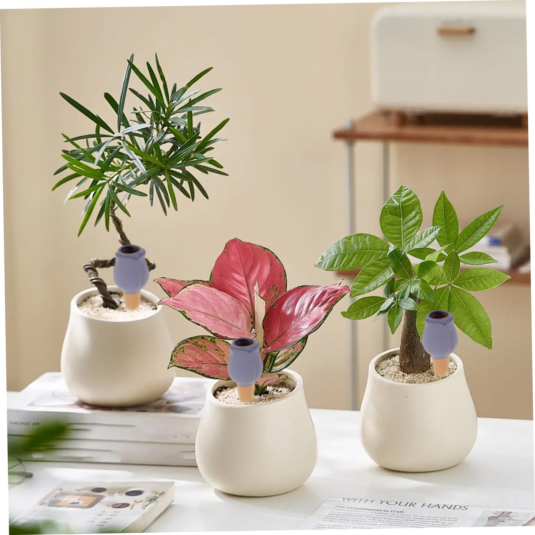 Pointes d'arrosage en Terre Cuite, Paquet de 8 Globes d'arrosage Automatique de 160 ML pour Plantes 'intérieur, arroseur Plantes coloré pour en Pot et Jardin