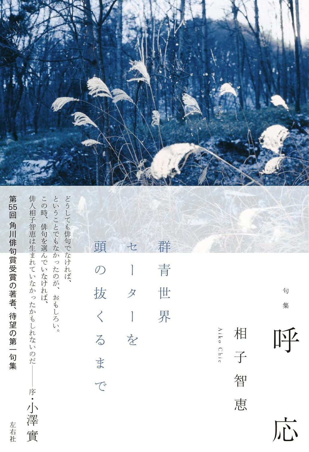 句集 呼応 (澤俳句叢書 第 31篇)