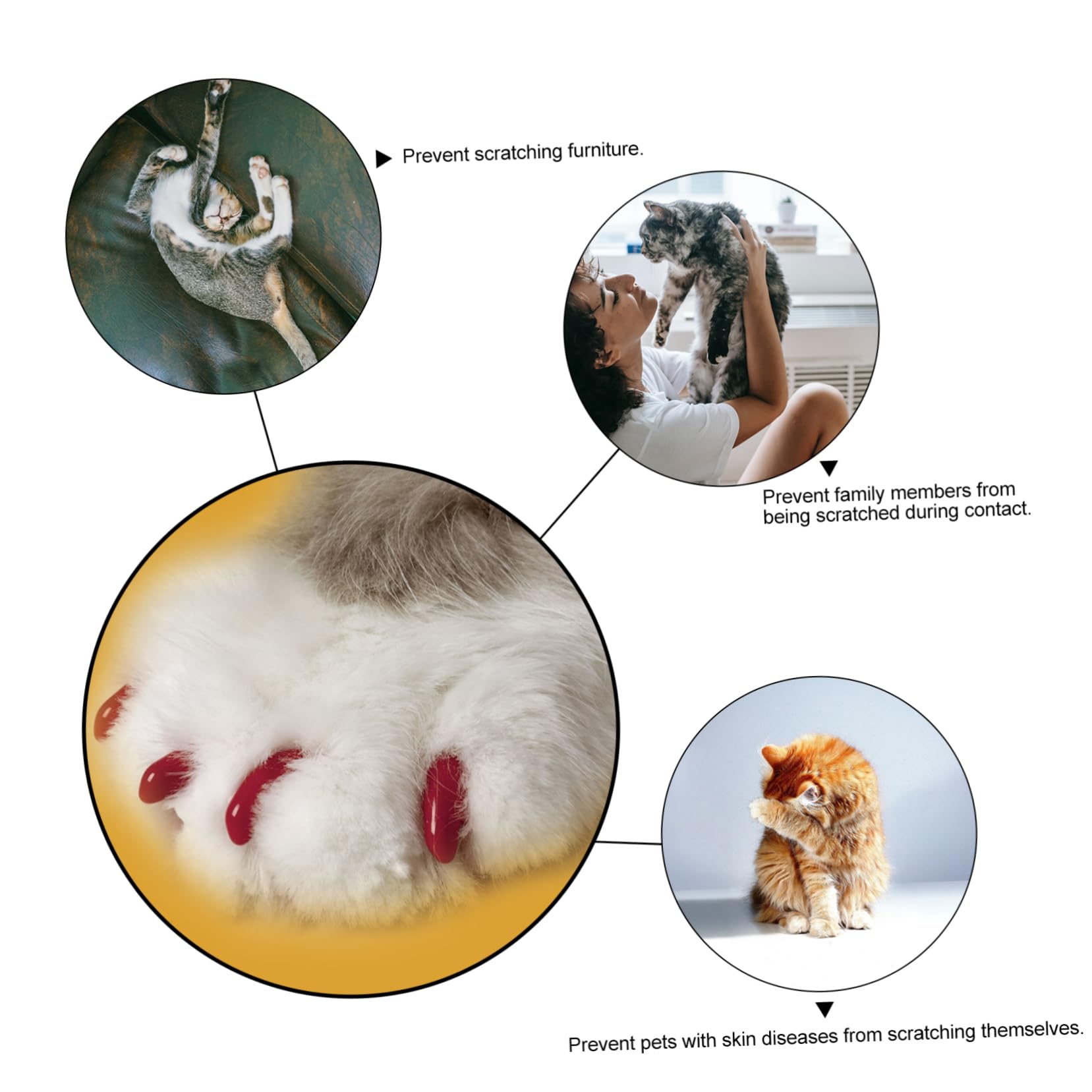 Toddmomy 480 Pcs Ensemble D'Ongles pour Animaux De Compagnie Couvre-Griffes De Chat Couvre-Griffes pour Animaux De Compagnie Capuchons pour Chats Capuchon De Griffe De Chat Protège-Ongles