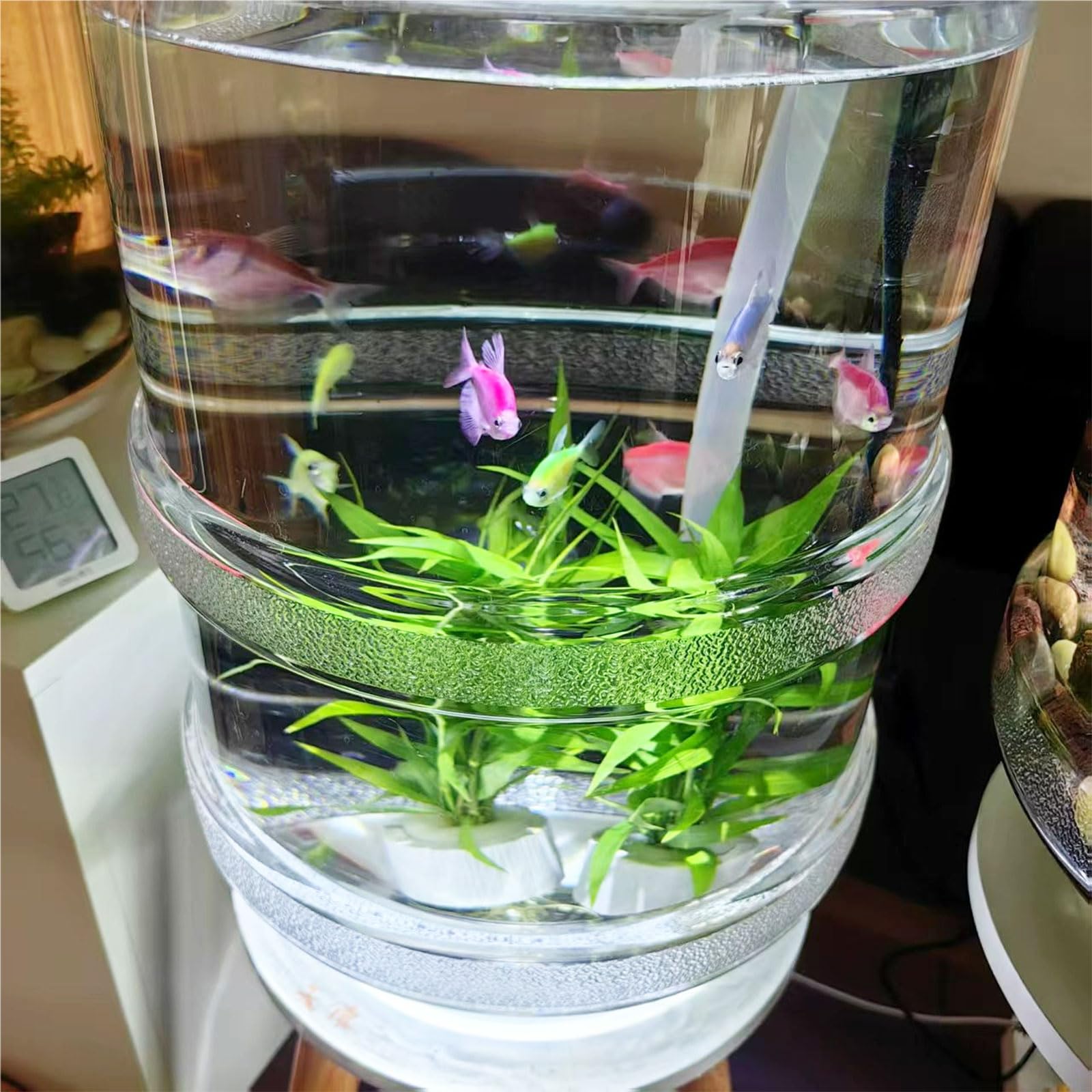 Pecera, Kit De Acuario 20 Litros - Diseño De Válvula De Drenaje Inferior, Fácil De Cambiar El Agua Y Limpiar, Con Soporte, Cubo Para Acuario, Grifo, Bomba De Oxígeno, Filtr(Size:Acuarios y accesorios)