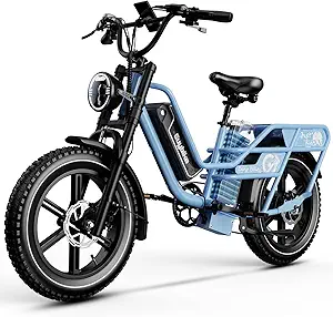 Auloor Dual Battery Electric Bike for Adults, 48V 60AH 160 Miles Long Range Cargo Ebike, 1500W Motor 30MPH+, 20