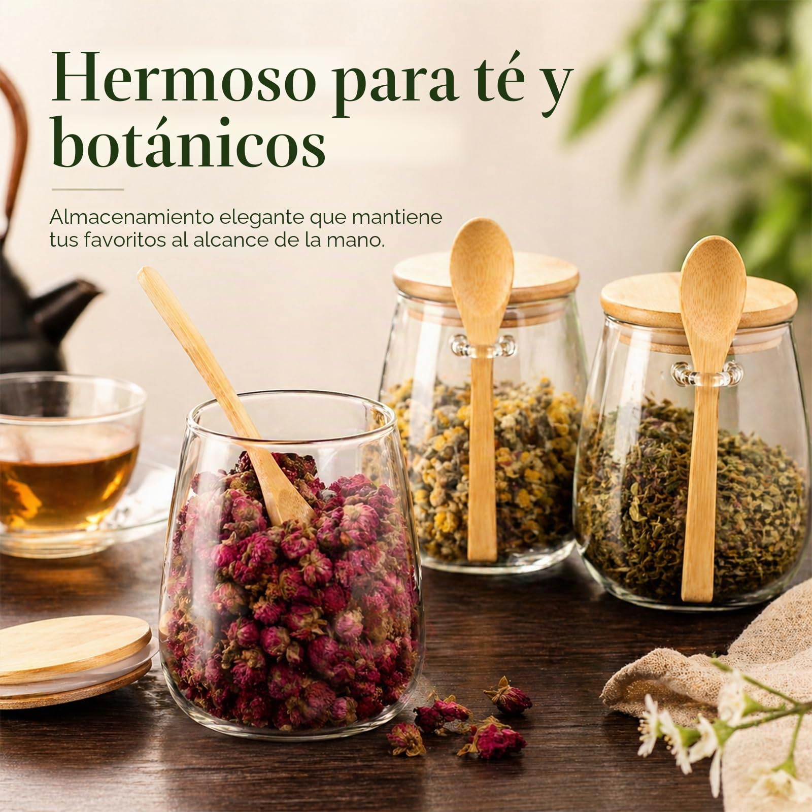 Tarros de Cristal con Tapa de Bambú y Cuchara, Set de 3 Botes Herméticos 350ml 600ml 1000ml, Recipientes de Almacenamiento para Cocina Café Té Azúcar Especias