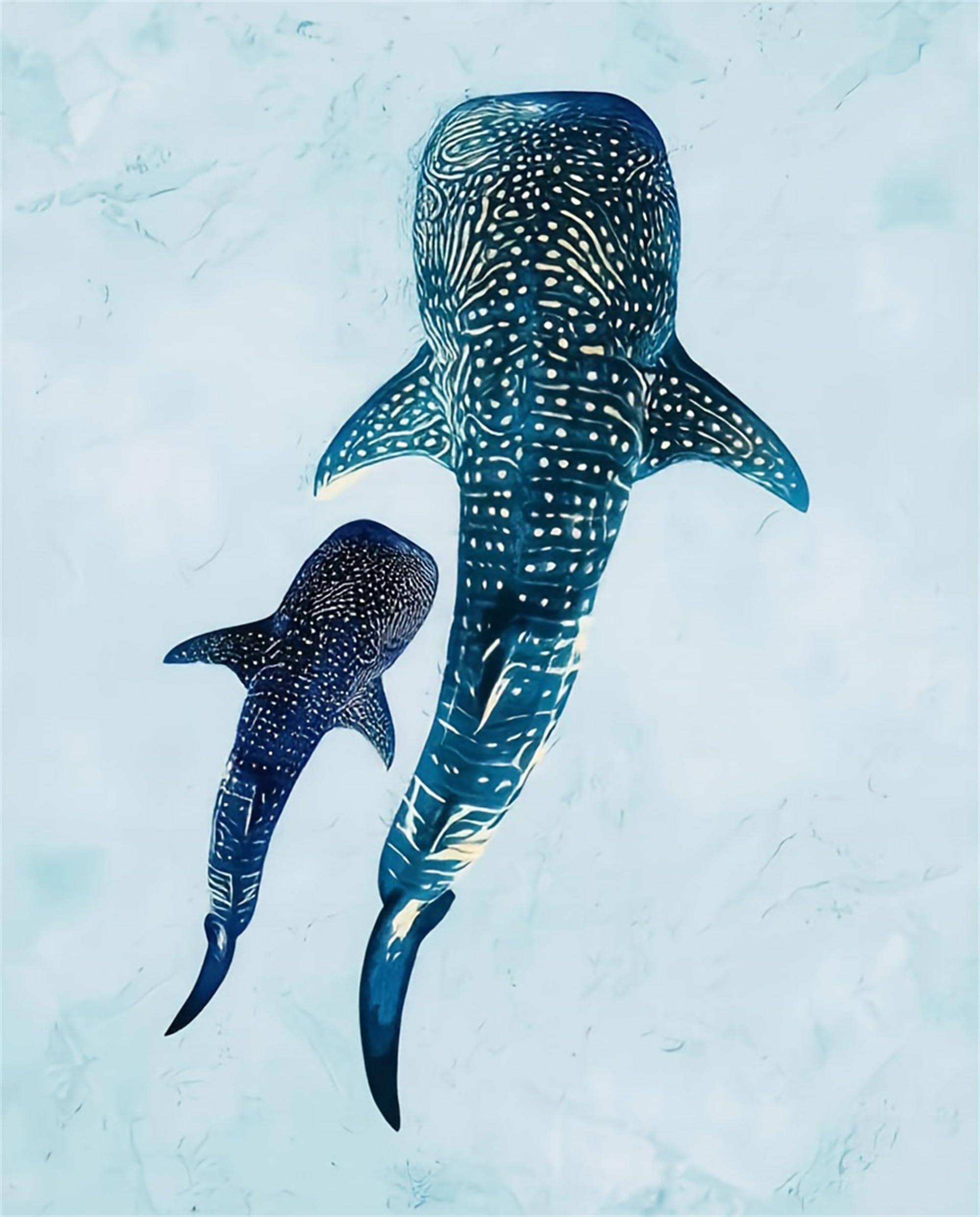 Xiangxujia Shark Whale Diy Paint By Number For Adults,Frameless Painting Kits For Adult,Color By Numbers,Frameless Paint By Number Canvas Crafts Watercolor For Beginner Room Decor