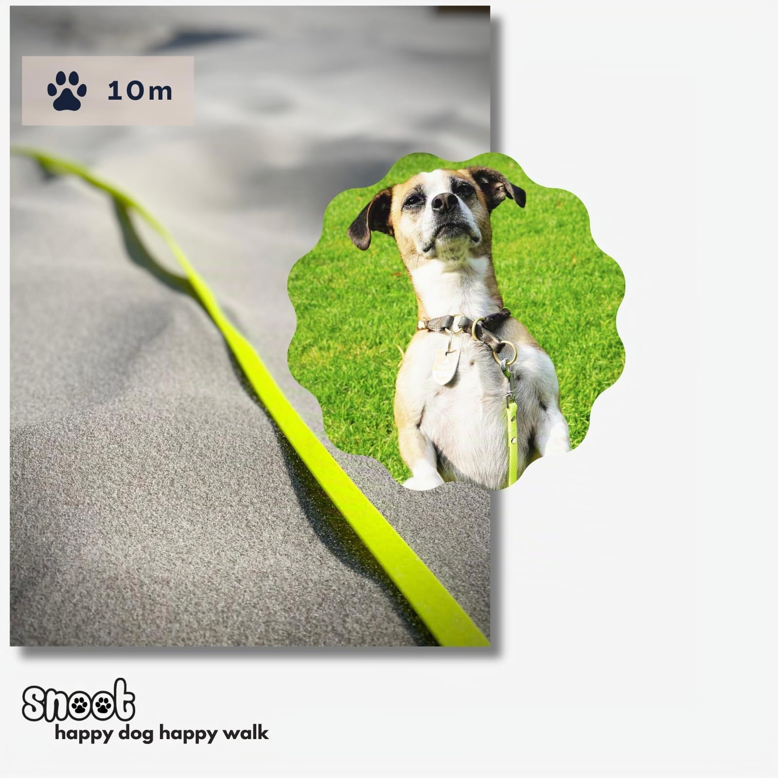 10m de Laisse à Pister, Laisse de Chien, 1 Mousqueton, Jaune Fluo, Extra étroite, résistante à la saleté et à l'eau