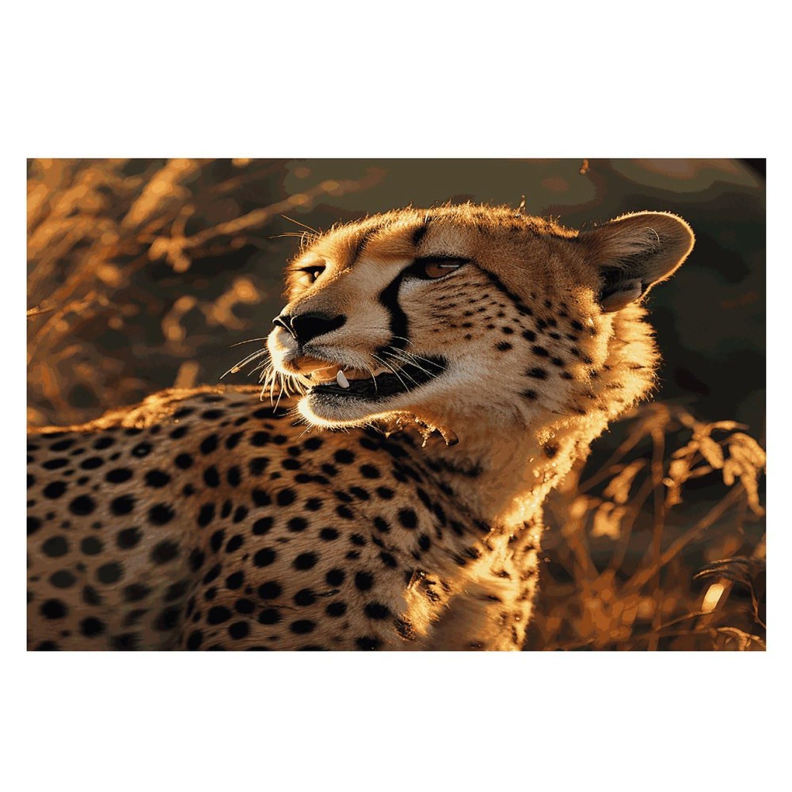 Cheetah Placemats Wipeable Heat Resistant Table Mats Washable Flax Place Mats Elegant Cloth Non-Slip Placemat for Kitchen Dinning Party Table Decor 12 * 18 in