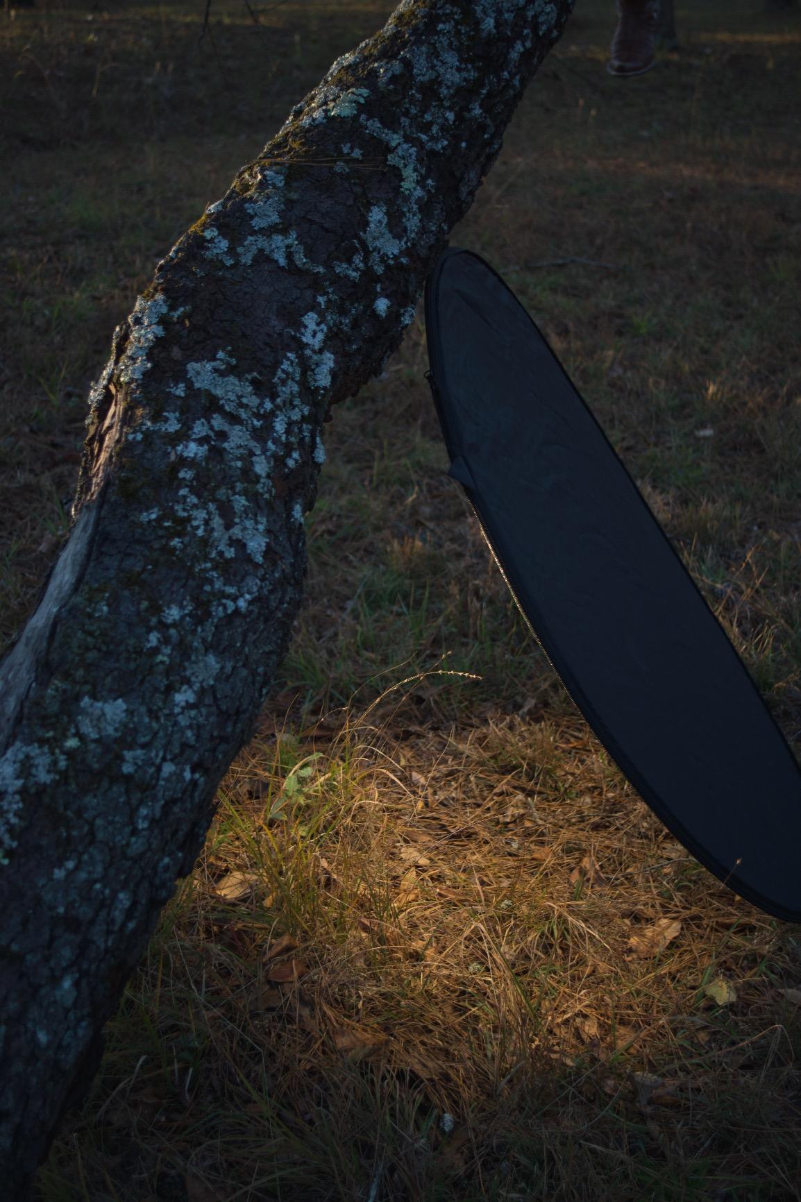 Wonderful and recommend!