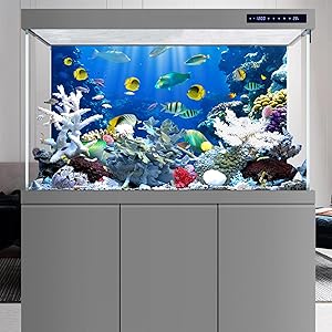 YongFoto Ocean Theme Fish Tank Background 72x24 inch Coral Seaweed Reef Rock Seafloor Tropical Fish Underwater Sea World Polyester Backdrop Reptile Habitat Terrarium Aquarium Background