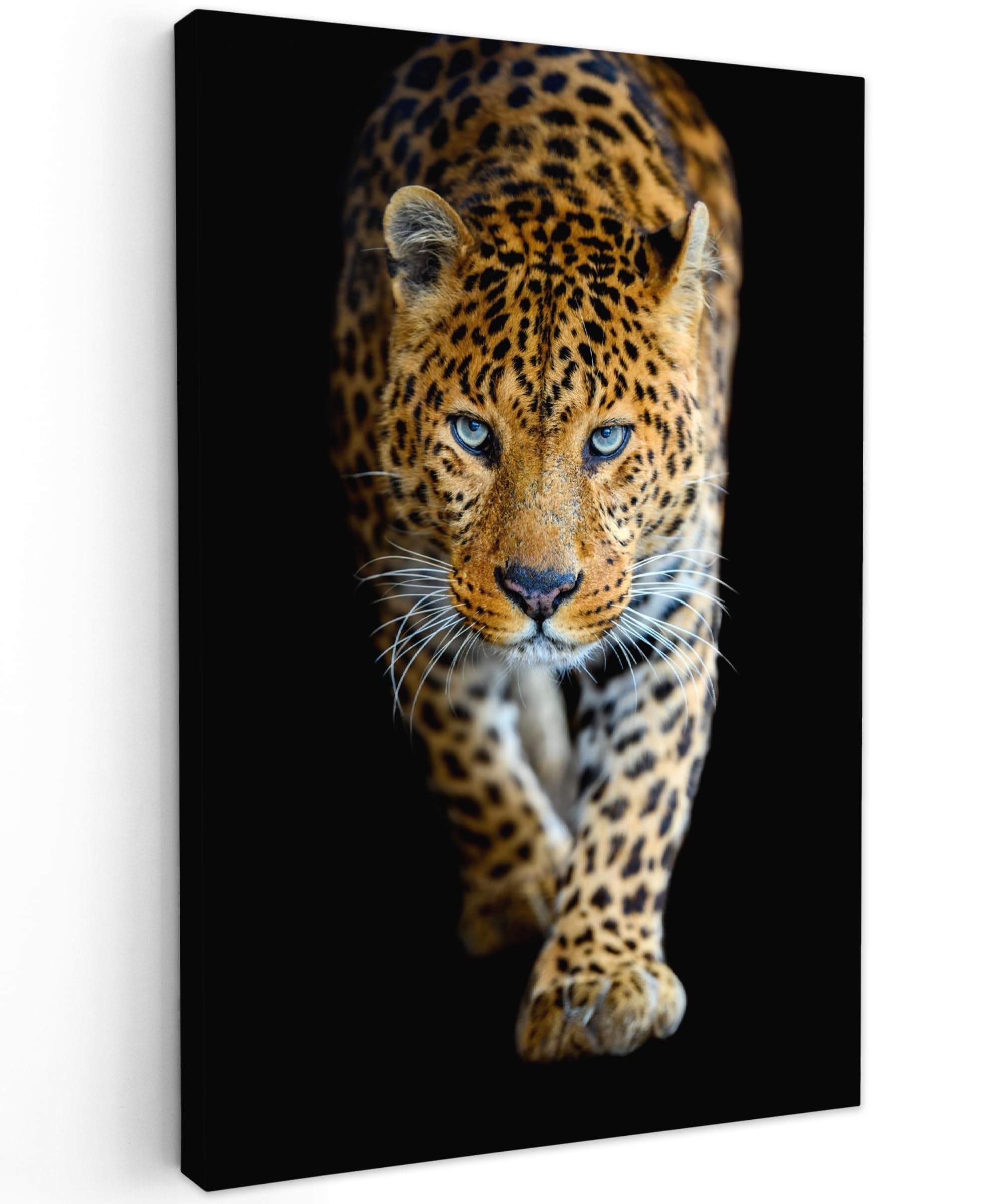 MuchoWow Toile Déco Murale Lion 90x60cm | Noir Et Blanc | Cadre Bois 2cm | Impression Haute Qualité