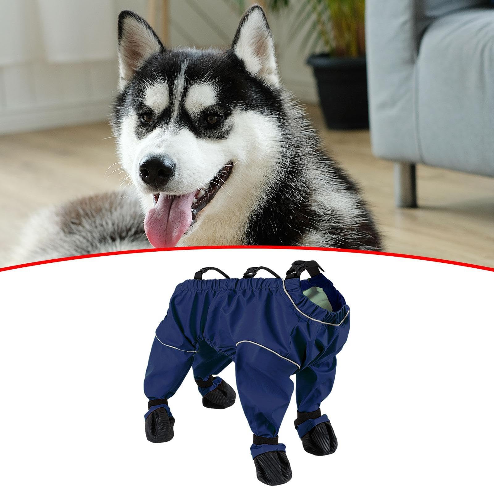 F Fityle Chaussures pour Chien avec Bretelles et Protections de Pattes, XL