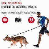 Ver la foto 2