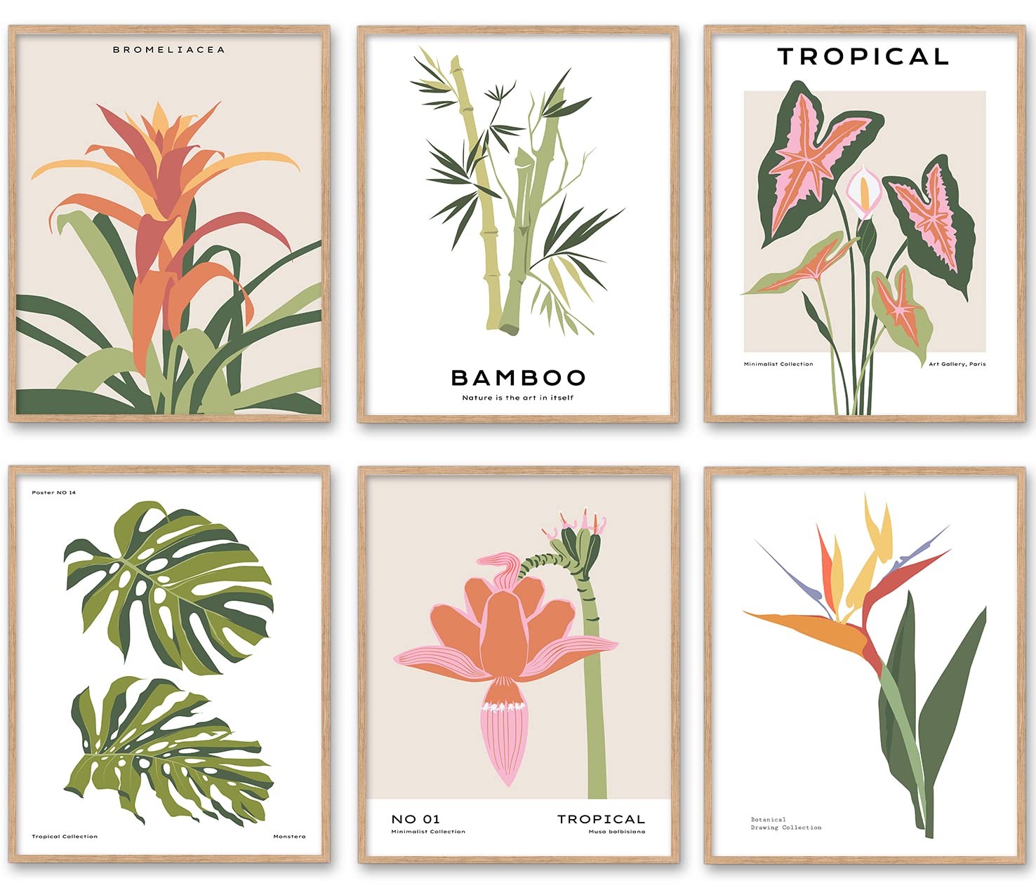 Amazon.com: Set of 6 -Tropical Plant and Flower Minimalist Art