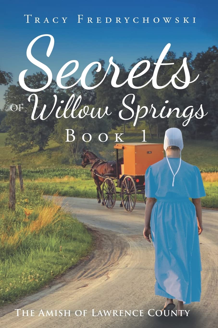 Secrets of Willow Springs Book 1 (The Amish of Lawrence County