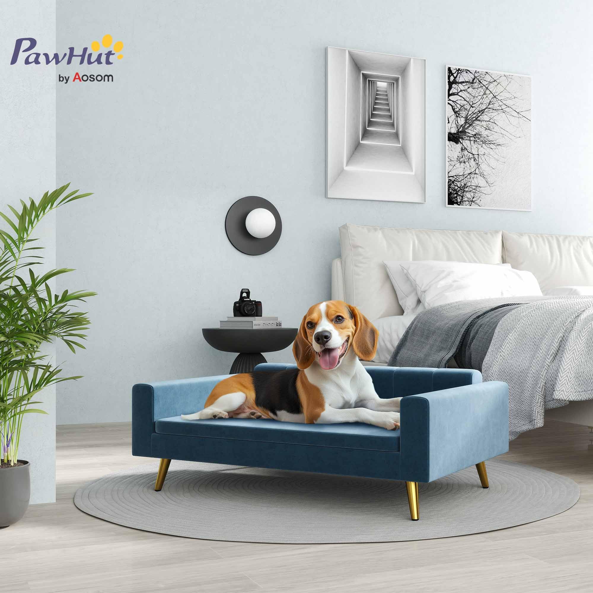 PawHut Canapé Chien, lit pour Chien, revêtement en Velours Soyeux, 94 x 59,5 x 31,5 cm, Design scandinave, canapé pour Chien sur Pied, avec Coussin Moelleux, Pieds en Acier Inoxydable, Bleu
