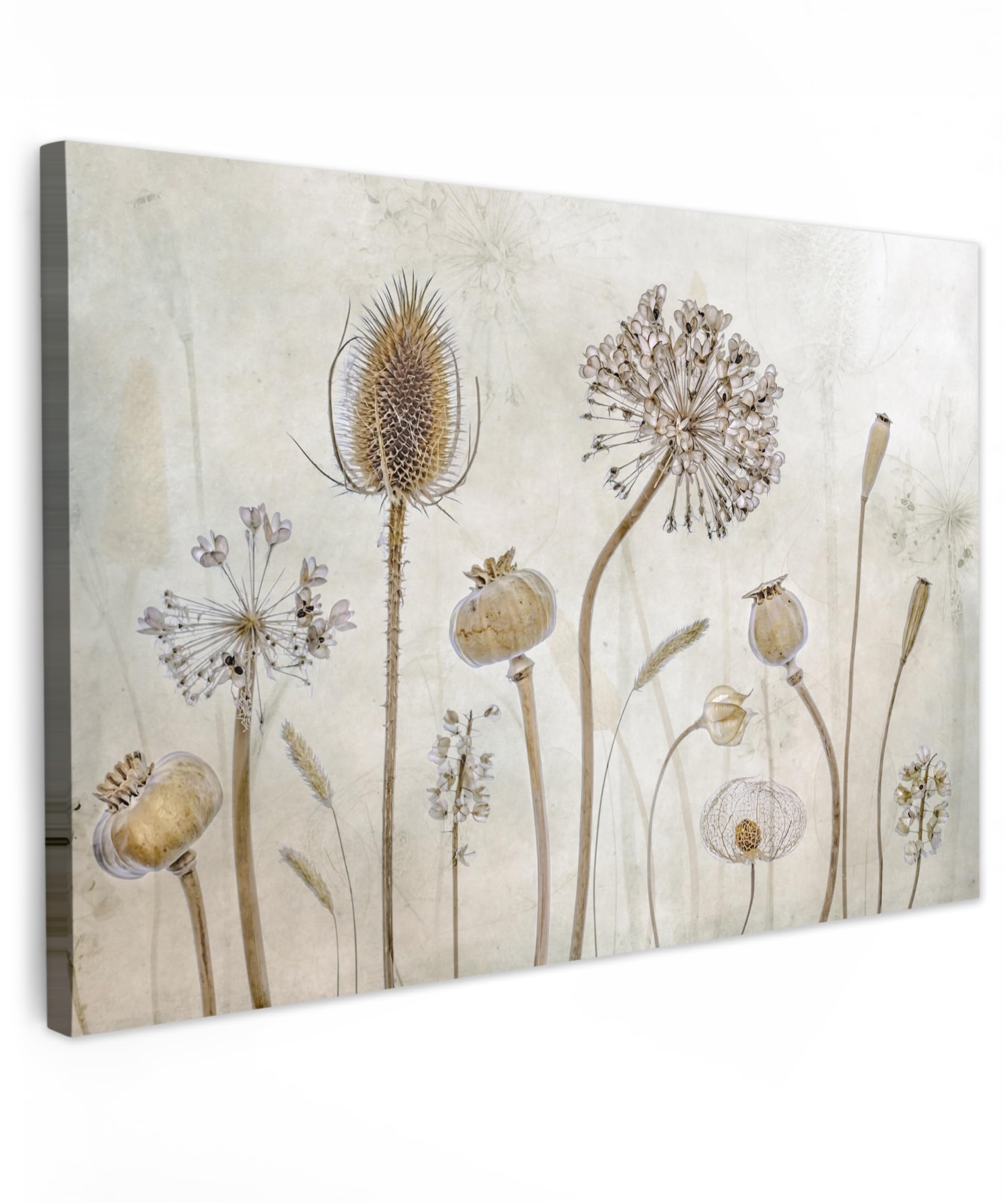 Muchowow Flowers - Vintage Muchowow© Canvas Wall Art 35"X24" / 90X60 Cm Decor Paintings Prints Framed On Canvas Decorations Wallart Flowers - Watercolour - Still Life - Brown - Vintage