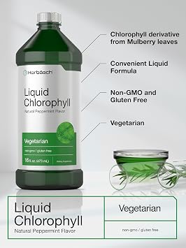 Horbaach Liquid Chlorophyll | 100 mg | 32 fl oz (2 x 16 fl oz Bottles) | Natural Peppermint Flavored Drops | Vegetarian, Non-GMO & Gluten Free Supplement Formula