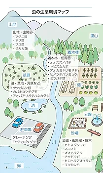 Amazon.co.jp: ポケット版 Dr.夏秋の臨床図鑑 虫と皮膚炎 : 夏秋
