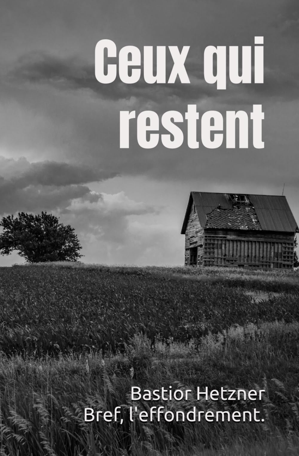 Ceux qui restent