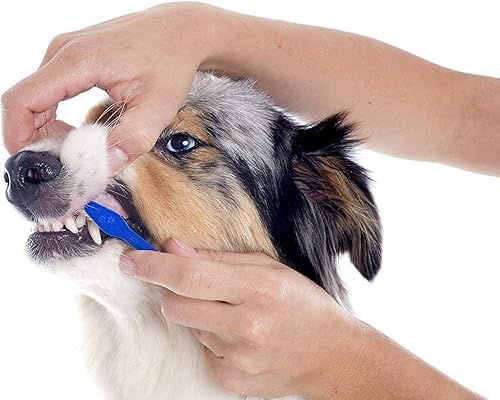 Miniatura 5 de Pets First Cepillo de dientes para perros con cerdas más suaves, extra grande, largo de doble cara para dientes pequeños y grandes, juego de 2,