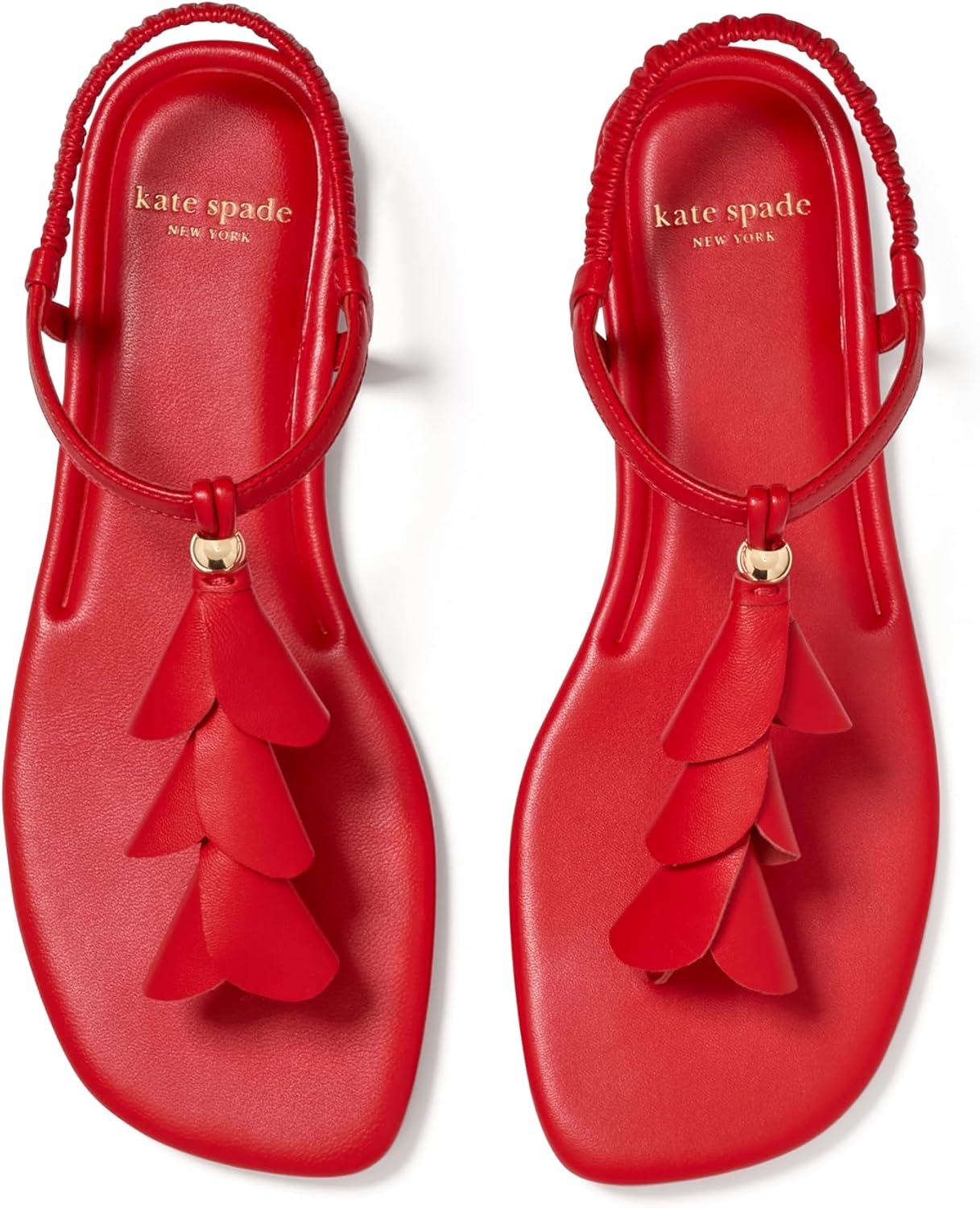 kate spade new york Women's Lily Thong Sandals