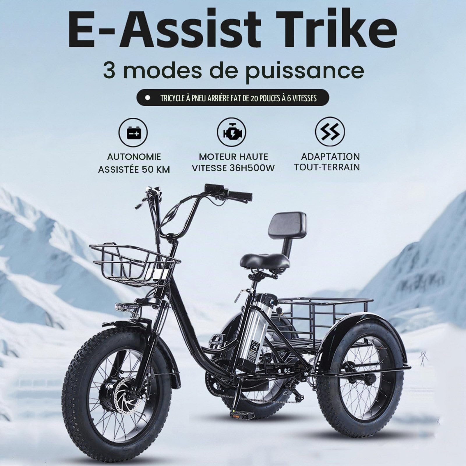 Tricycle électrique 20 Pouces pour Adultes, avec Batterie Amovible 48 V 13 Ah, Vélo électrique Motorisé avec Grands Paniers, écran LCD,Autonomie 40 Km, Tricycle Cargo électrique pour Seniors