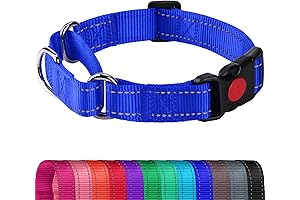 Haapaw Martingale Safety Dog Collar: Ultimate Control, All-Weather Durability