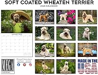 Vista 319 de Razas de Perros 2017