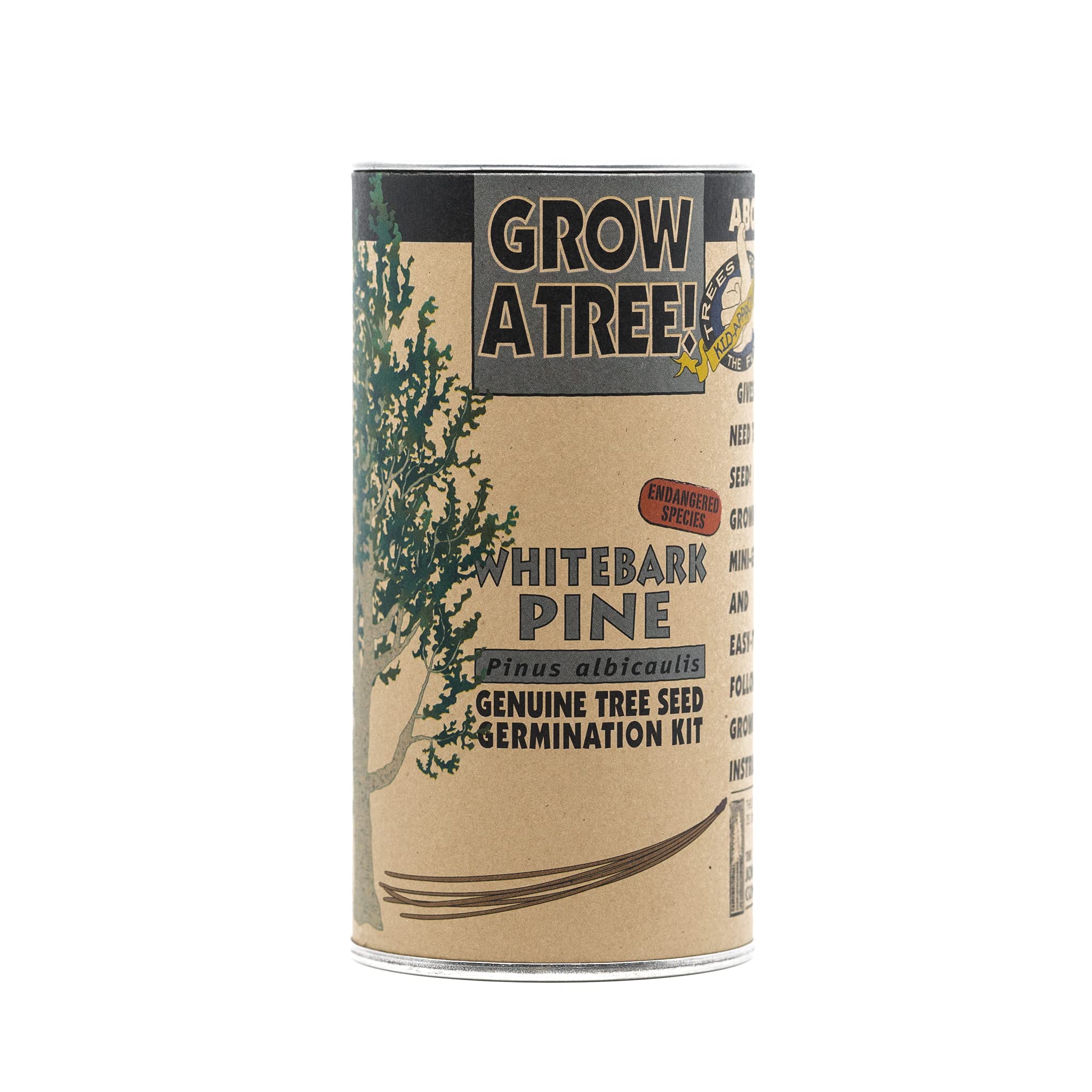 Whitebark Pine | Tree Seed Grow Kit | The Jonsteen Company
