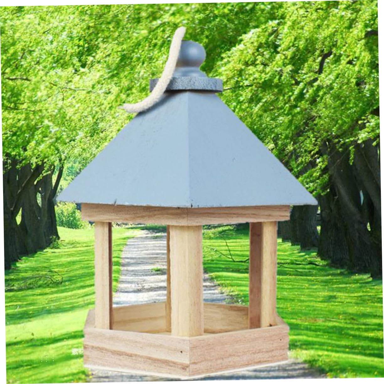 YARNOW 3pezzi Nido Sospeso Per Uccelli Legno Trasparente Design Bucchi Spazio Confortevole Per Canarini e Pappagalli Accessorio Naturale Per Gioco e Riposo