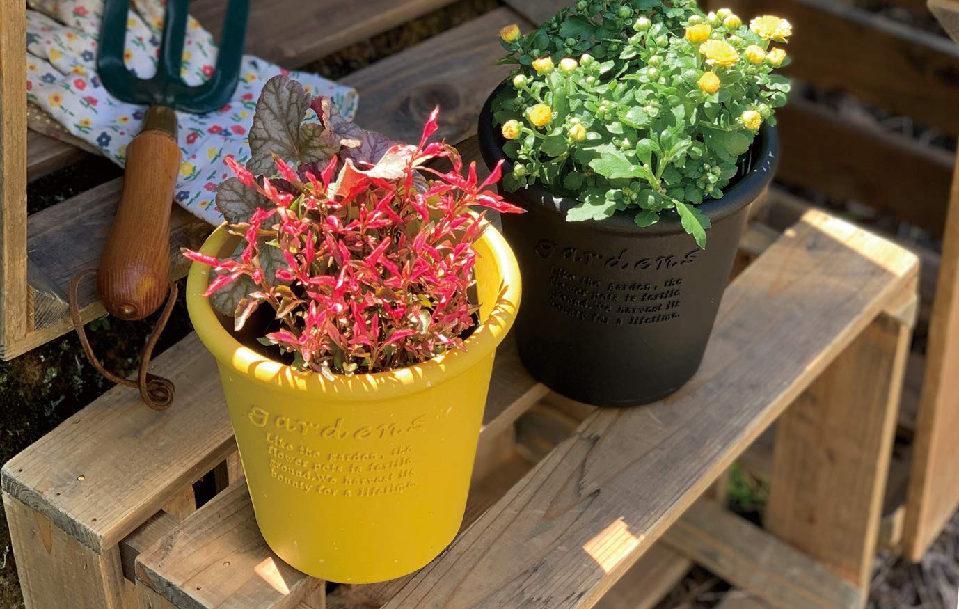 フラワー・ガーデニング P-CHAMBER.SRLMEX-S P-P POT neighborhood Amazon.com: PSW Pot Collection HA45DC Corner Triangle