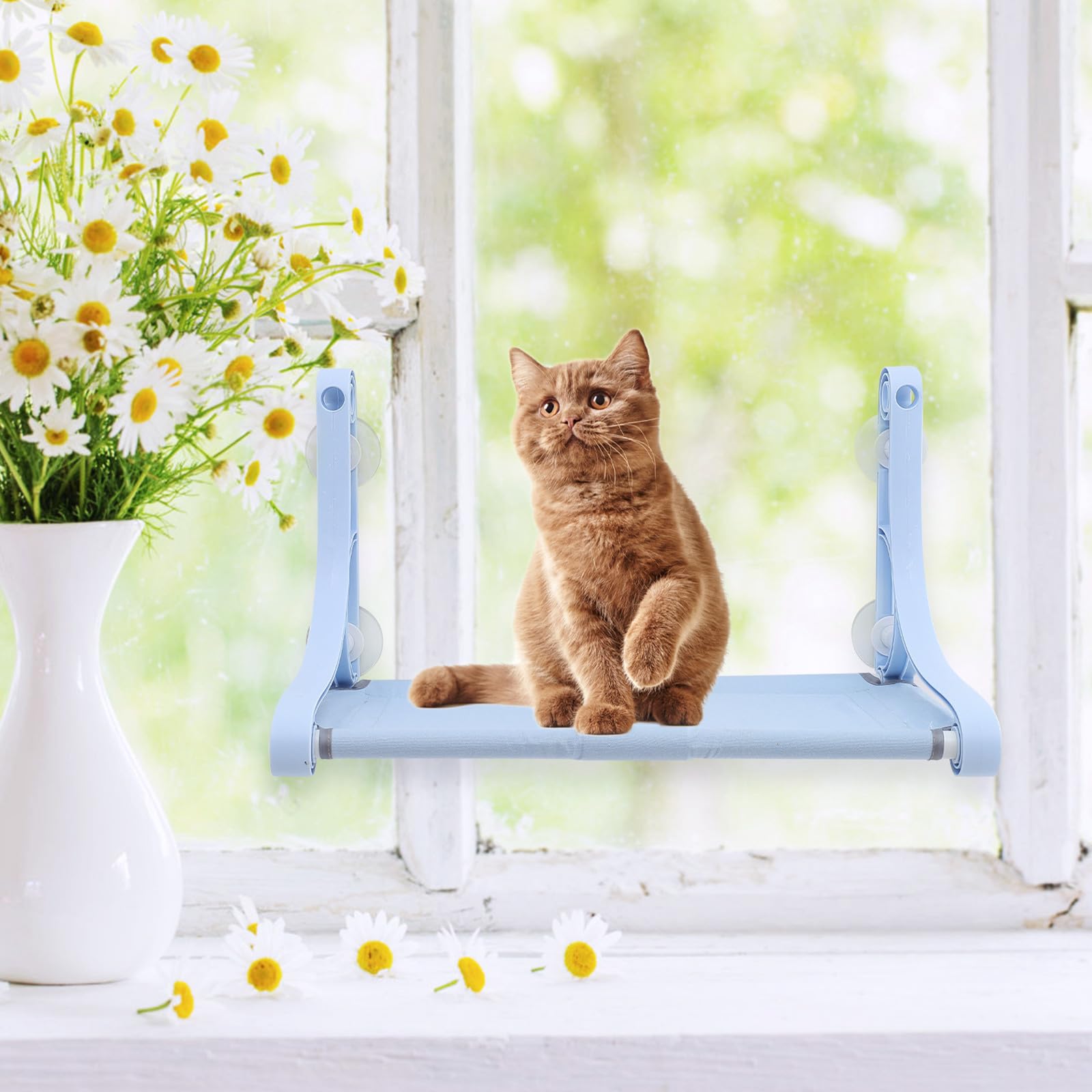 Amaca Finestra per Gatti Blu Ventose, Letto Sospeso Creativo | Resina Pp e Tela, per Piccoli Animali, Riposo e Decorazione Gabbia