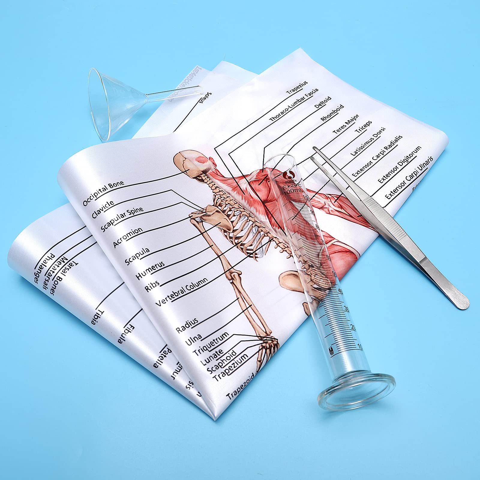 Affiche Anatomie Système Musculo-Squelettique - 50 X 70 Cm - Tissu De Soie - Pour Salle De Classe, École Ou Laboratoire - 8