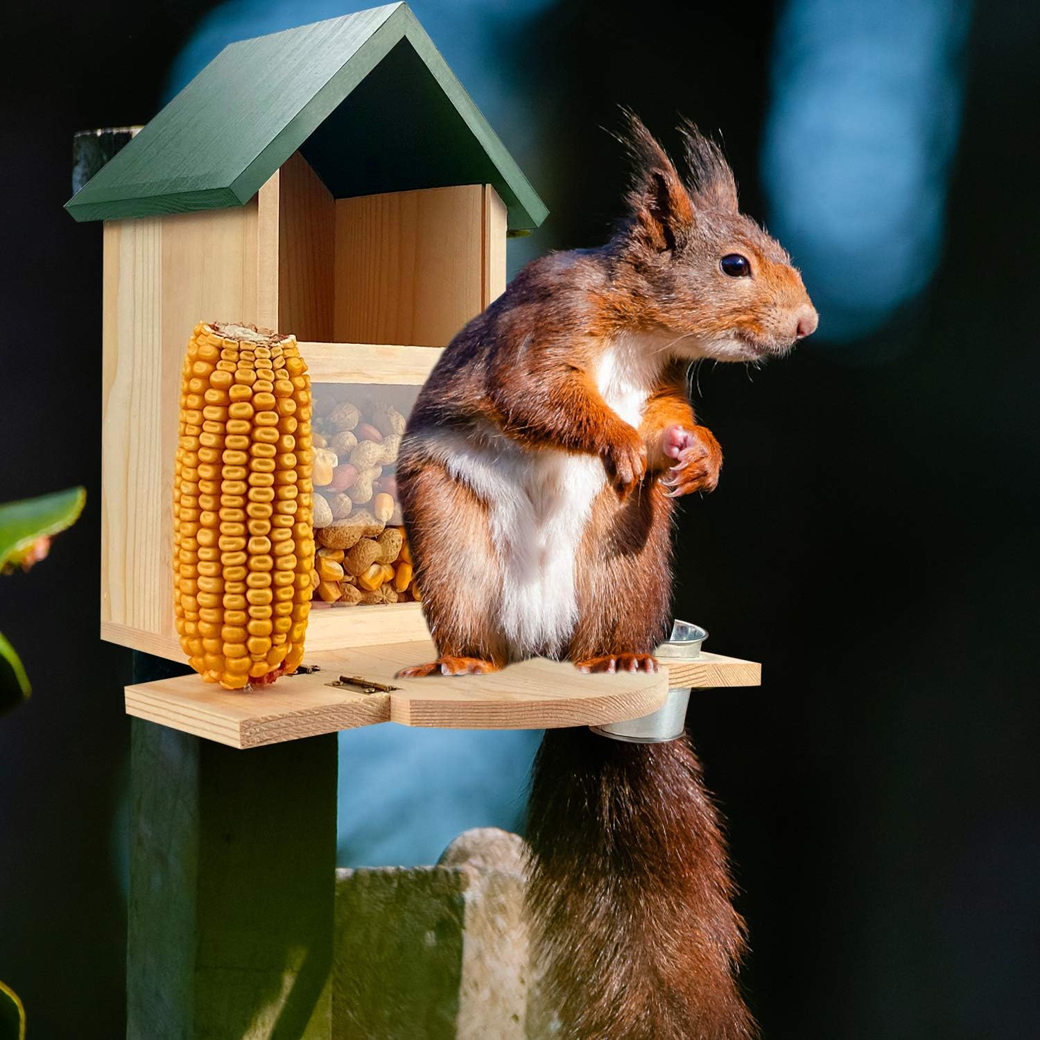 MIXXIDEA Wooden Squirrel Feeder Box, Multifunctional Squirrel Feeding House with Cup, Easy to Fill, Durable with Solid Structure, , Squirrel Feeders for Outside, Garden