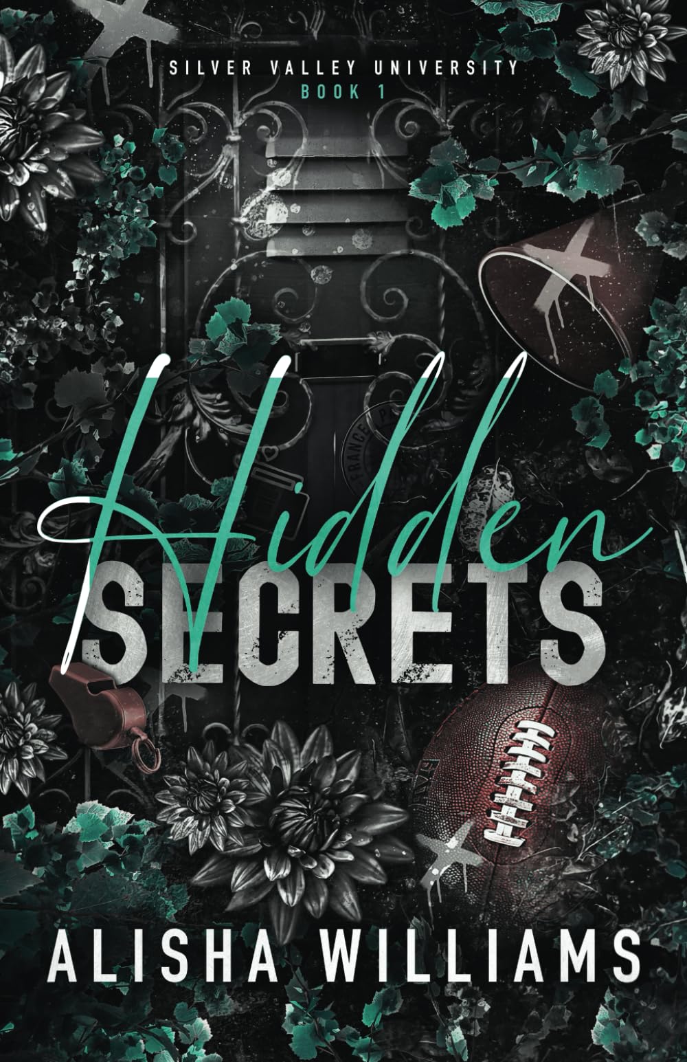 Hidden Secrets: 1 (Silver Valley University)