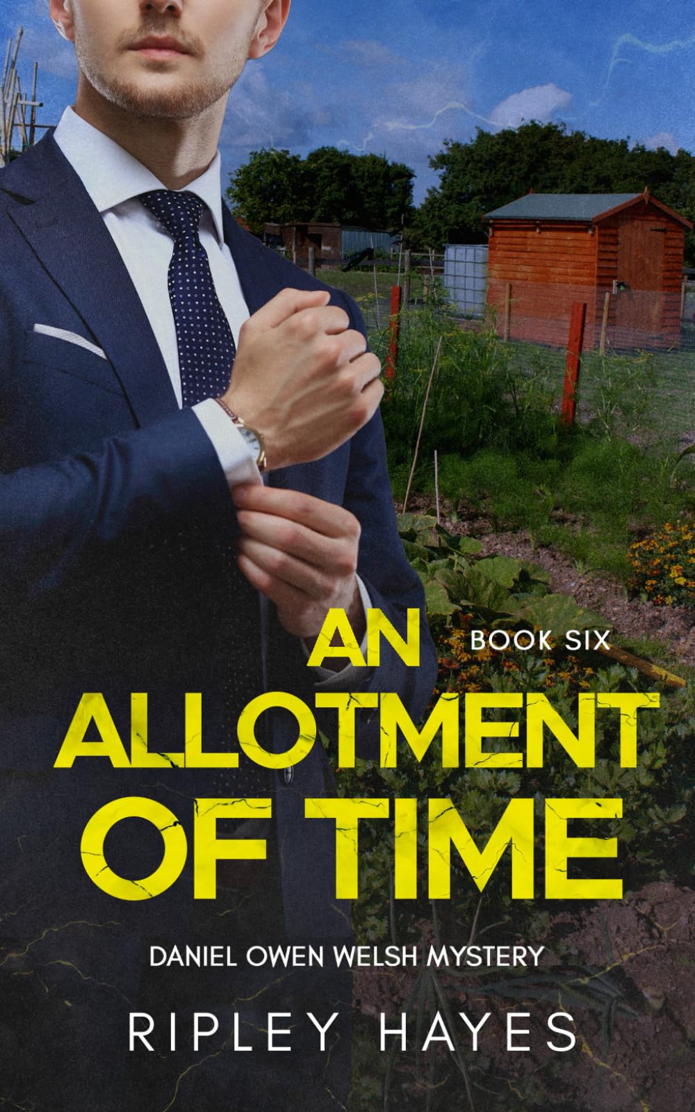 An Allotment of Time: A Gay Mystery (Daniel Owen Welsh Mysteries)